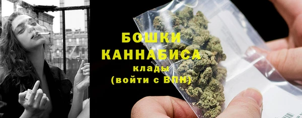 кристаллы Гусь-Хрустальный