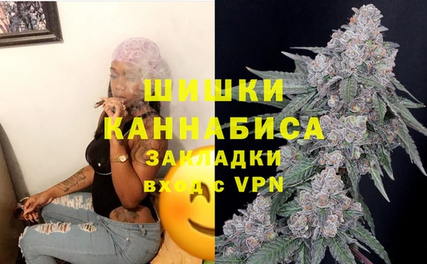 кристаллы Гусь-Хрустальный