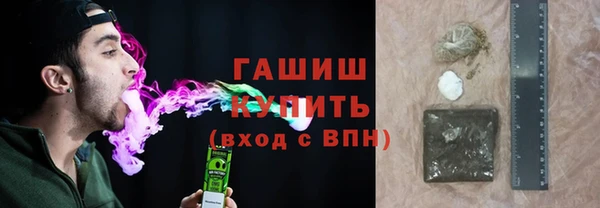 индика Тихвин