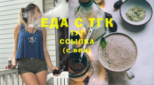 индика Тихвин