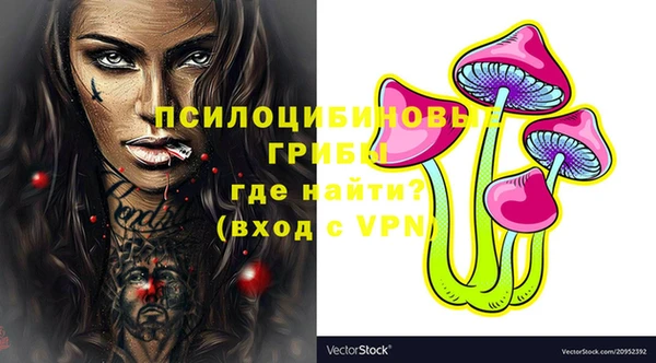 эйфоретик Гусиноозёрск