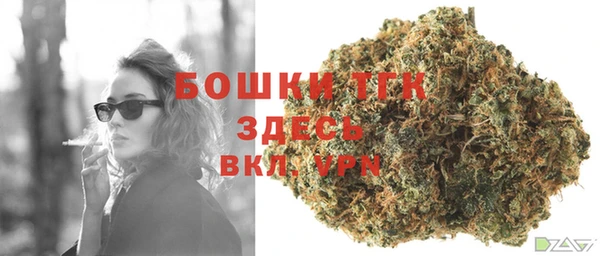 эйфоретик Гусиноозёрск