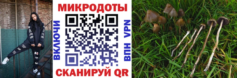 Галлюциногенные грибы мухоморы  Гатчина 