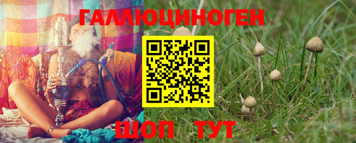 Псилоцибиновые грибы ЛСД  Гатчина 