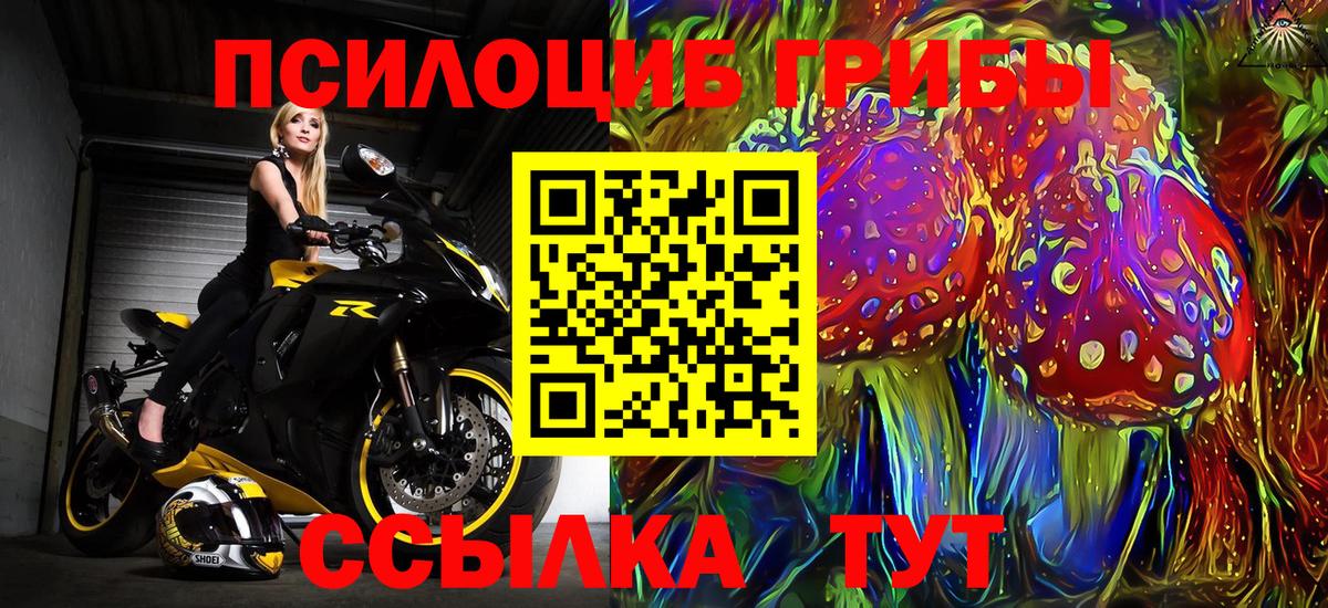 Галлюциногенные грибы Psilocybine cubensis Гатчина