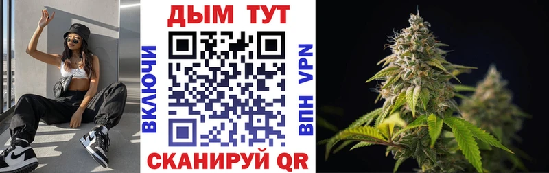 Марихуана SATIVA & INDICA  omg сайт  Гатчина 
