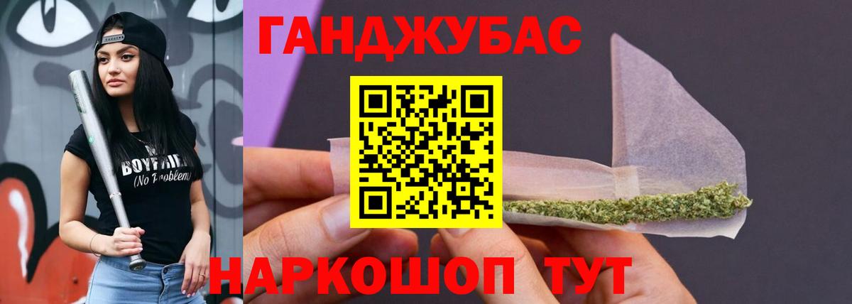 Конопля сатива Гатчина